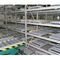 Anchura resistente del estante 1000-3600m m del flujo de plataforma de Warehouse