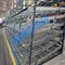 Estantes del flujo del almacenamiento del cartón de Warehouse del hierro para los productos perecederos